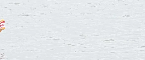 Rowing exercise for College Students Stock-Footage 136451404