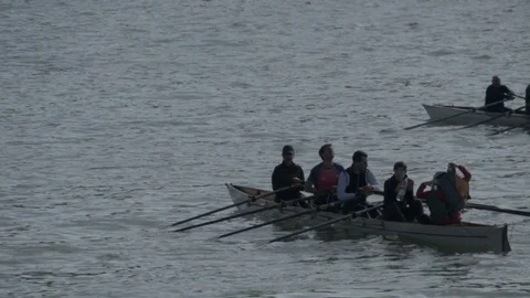 Rowing 스톡 동영상 87341679