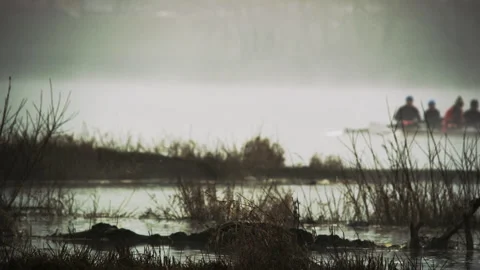 Rowing Four. Two Men Sculling Backwards. River Plants Stock Footage 87948759