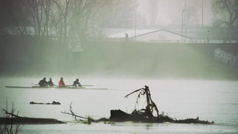 Rowing Four. Young Man and a Woman Sculling Backwards Stock Footage 87948991