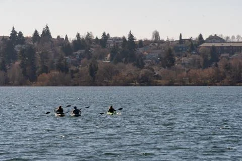 Rowing at Greenlake Fotos Stock