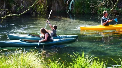 Rowing on the lake in a beautiful park Video stock 80300134