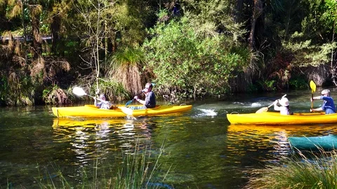 Rowing on the lake in a beautiful park Video stock 80305080