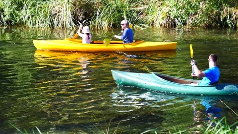 Rowing on the lake in a beautiful park Video stock 80305106