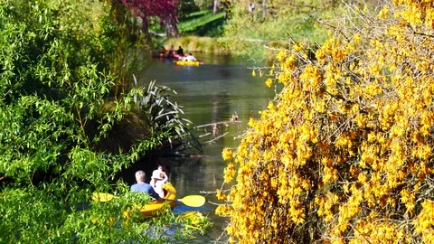 Rowing on the lake in a beautiful park Video stock 80305159