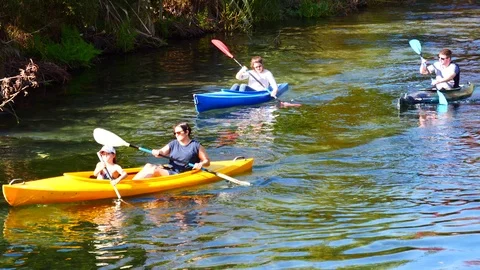 Rowing on the lake in a beautiful park Video stock 80305246