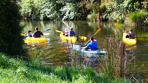 Rowing on the lake in a beautiful park Video stock 80305368