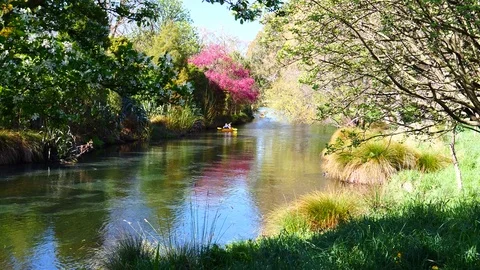 Rowing on the lake in a beautiful park Video stock 80305440