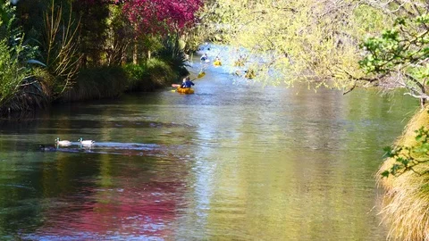 Rowing on the lake in a beautiful park Video stock 80305511