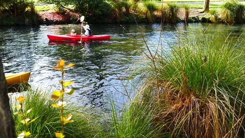Rowing on the lake in a beautiful park Video stock 80305547