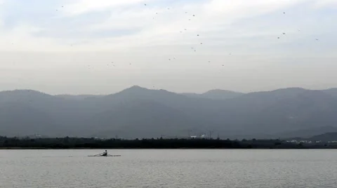Rowing on a lake Stock Footage 58732003