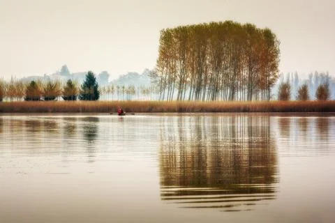 Rowing on the lake Stock Photos