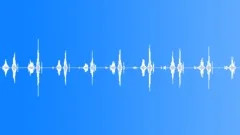 Rowing Machine Sound Effect