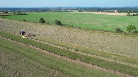 Rowing of the mown silage crop by a tractor in lines. Preparation of fodder for Stock Footage 179448384