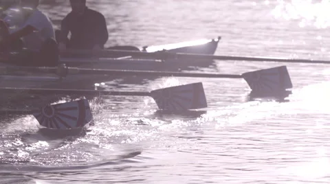 Rowing Oars Slow Motion Close Up Stock Footage 47587719