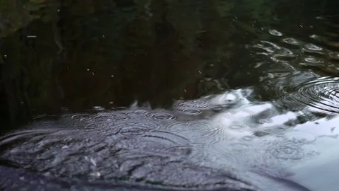 Rowing with paddle on a boat Stock Footage 73098607