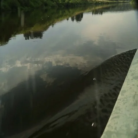Rowing a paddle in the calm water of the river Stock Footage 69481787