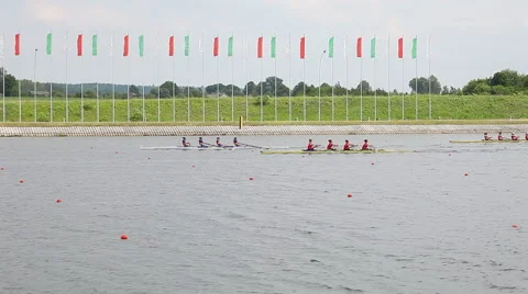 Rowing race Video stock 45174818