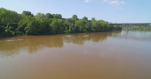Rowing on a river Stock Footage 90736219
