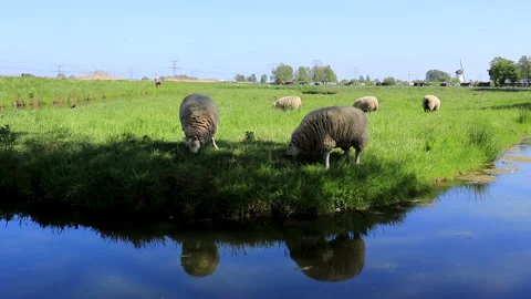 Rowing in the river near the windmill Stock Footage 147870675