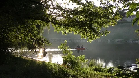 Rowing river scenic idyllic summer Stock Footage 74125134