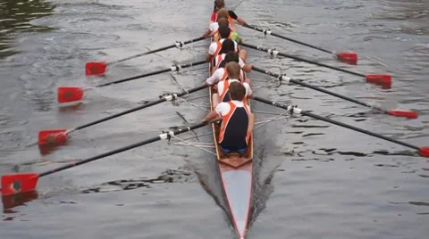Rowing sports team Stock Footage 8524933