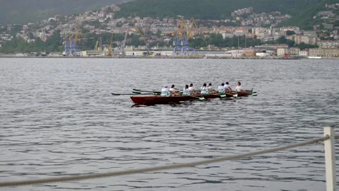 Rowing team boating in trieste gulf Video stock 233672336