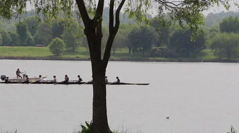 Rowing Team 库存影片 52182458