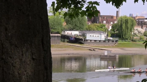 Rowing Team Glides Along the Thames with Riverside View Stock Footage 336462515