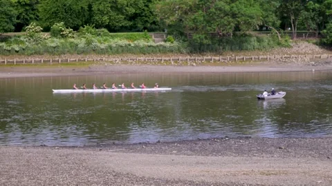 Rowing Team Glides Along the Thames River with Motorboat Escort Stock Footage 336462553