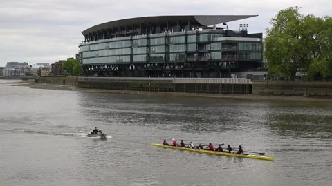 Rowing Team Glides Alongside Fulham Stadium on the Thames Stock Footage 336424495
