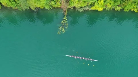 Rowing Team on Lake Bled, Slovenia, Aerial View Vídeo Stock 345579752