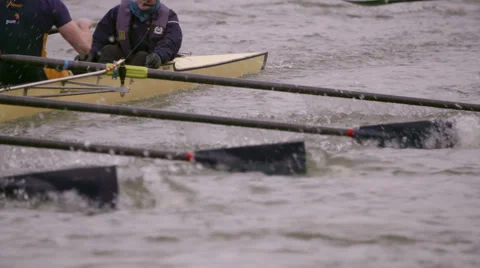 Rowing Team Oars Close-Up 10 Stock Footage 53045689