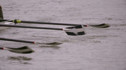 Rowing Team Oars Close-Up 11 Stock Footage 53047747