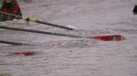 Rowing Team Oars Close-Up 12 Stock Footage 53047658