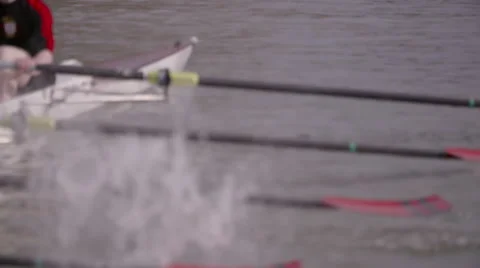 Rowing Team Oars Close-Up 4 Stock Footage 53044830