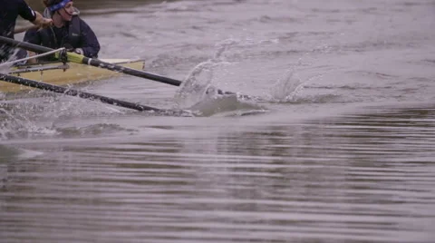 Rowing Team Oars Close-Up 5 Stock Footage 53044474
