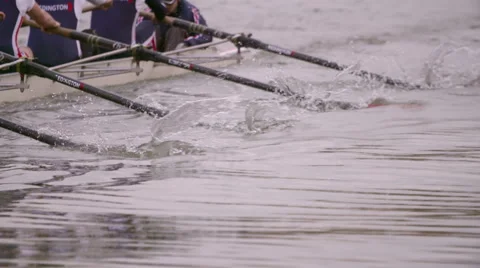 Rowing Team Oars Close-Up 6 스톡 동영상 53046122