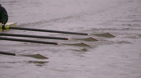 Rowing Team Oars Close-Up 8 Stock Footage 53046985