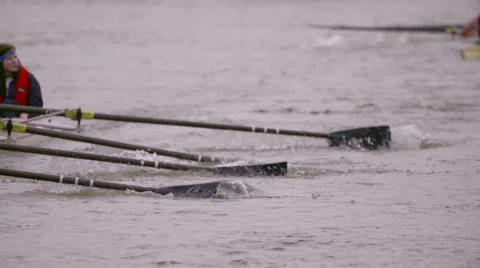 Rowing Team Oars Close-Up 9 Stock Footage 53047371