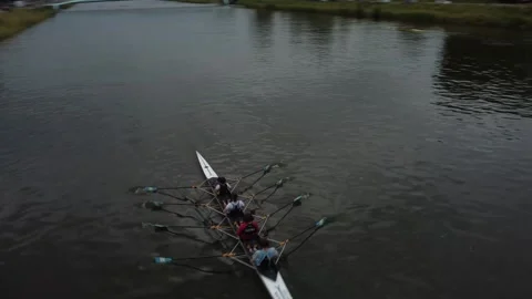 Rowing Team Practices on a Serene River in Gent, Belgium Stock Footage 279379669