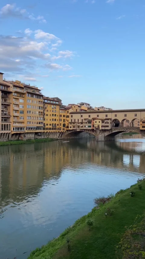 Rowing Team on River Beneath Historic Bridge in Scenic European City Stock Footage 324116722