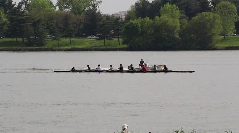 Rowing Team on the River 库存影片 52182531