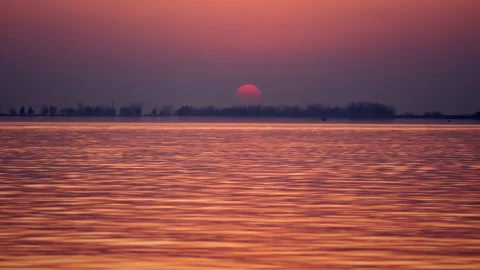 Rowing team training on the lake against the backdrop of a beautiful sunset Stock Footage 264249227
