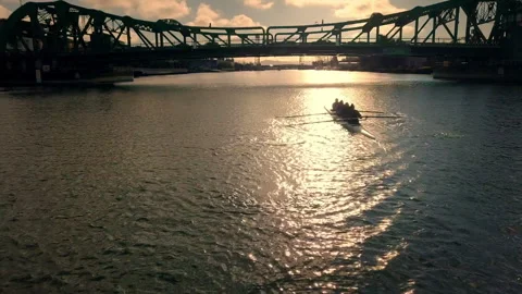 Rowing team training on river at sunset Vídeos de archivo 331687277