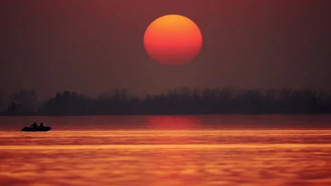 Rowing team training. rowing athletes in a boat on the lake against the backdrop Vidéo 264247213