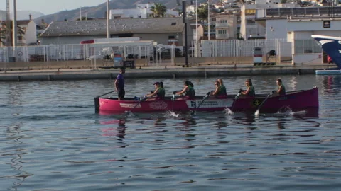 Rowing team training in traditional boat inside the harbor Vídeo Stock 345742302
