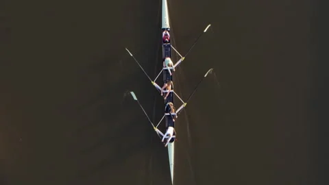 Rowing team training on the water top view Stock Footage 336364179