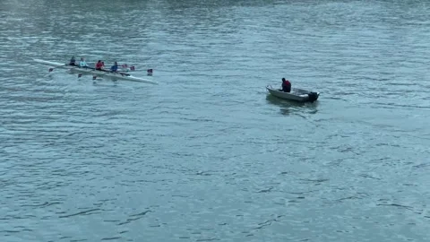 Rowing Team Training on a Wide River Stock Footage 301607085