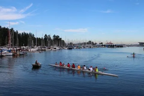 Rowing team Vancouver Stock Photos